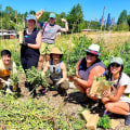 The Ultimate Guide to Free Food Events in King County, Washington